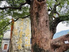 -上坦村