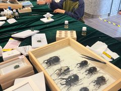 -中国宋庆龄青少年科技文化交流中心