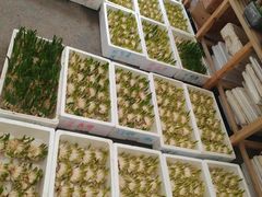 -龙大花卉苗木市场