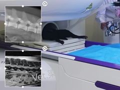 -欧奕国际动物医院