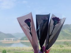 -好灶头妈妈菜·柴火灶台鱼·千岛湖土菜地标美食