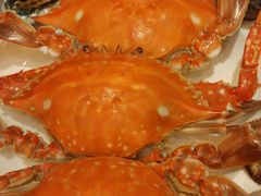 -东方红海鲜百汇(国际大厦店)