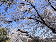 -苏州上方山国家森林公园