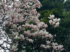 -成都杜甫草堂博物馆