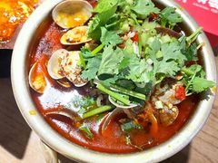 花甲火锅粉-成都吃客(九眼桥店)