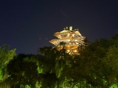 -明湖楼·经典鲁菜山东海鲜(大明湖店)