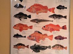 -镹·鱼料理  国产鱼使用店