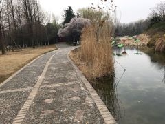 -洛阳市隋唐城遗址植物园