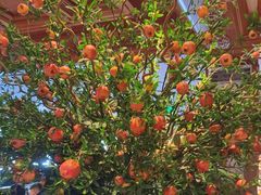 -八府香鸭·啫啫煲(华山路店)