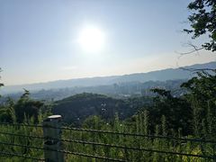 -缙云山景区