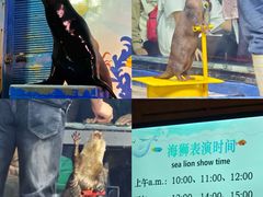 -太平洋海底世界