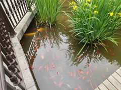-聚缘堂·海鲜私房菜(松岭路店)