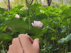 -石塘人家