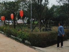 -洪湖家庭农场·团建·露营·会议
