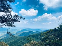 -莫干山风景区