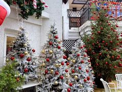 -弗兰克牛排西餐厅Ribone steak house(柠檬花园店)