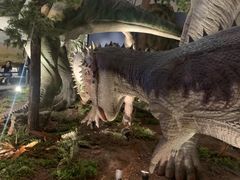 -湖南省地质博物馆