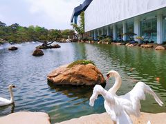 -罗红摄影艺术馆