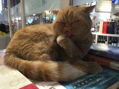 -小时光咖啡馆(开森度假森林店)