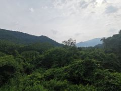 -呀诺达热带雨林