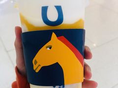 -春丽小马(济南恒隆广场店)