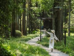 -东明山森林公园