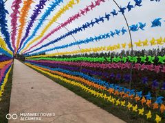 -上海长兴岛郊野公园