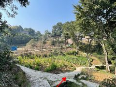 -南山植物园