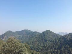 -伴山茶苑·一盏冰茶·半日山居