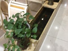 -山水草塘老菜馆