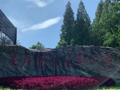 -东平国家森林公园