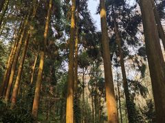 -青城山