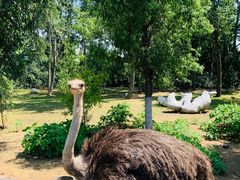 -大连森林动物园