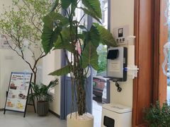 -山与蓝·轻糖鲜果蛋糕(勒泰店)