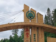 -五营红松林海景区