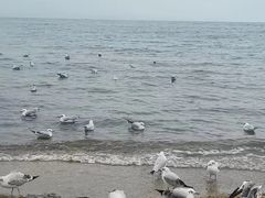 -青海湖二郎剑景区