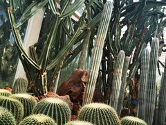 -昆明植物园