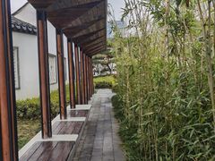 -青果巷历史文化街区