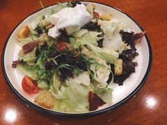 捷克农家沙拉-布拉格餐厅· 中欧捷克菜(全国首店)