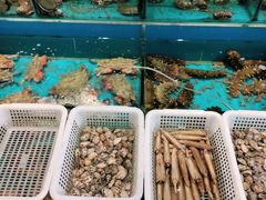 -中苑海韵