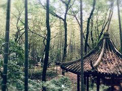 -宝岩生态观光园