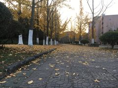 -浙江农林大学(东湖校区)