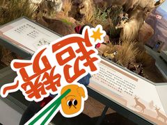 -陕西自然博物馆