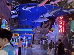 -烟台海昌鲸鲨海洋公园