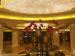-宝利来国际大酒店(机场店)