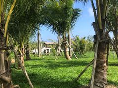 -沙美村
