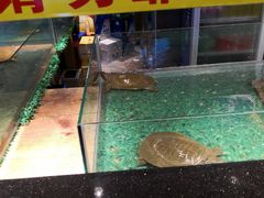 -洪湘记川湘·甲鱼馆(四海凯悦美食广场店)