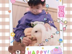-猫猫幼稚园·撸猫·桌游·电玩