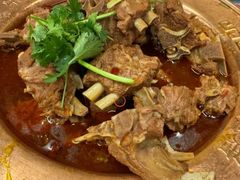-友乐居羊蝎子(西直门店)