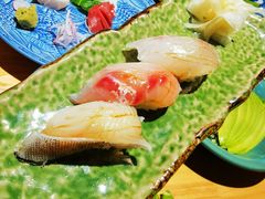 当日空运鲜鱼寿司拼盘-镹·鱼料理  国产鱼使用店